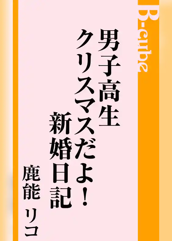 男子高生クリスマスだよ！新婚日記