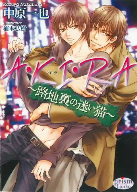 A・KI・RA～路地裏の迷い猫～