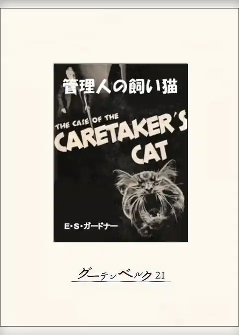 管理人の飼い猫