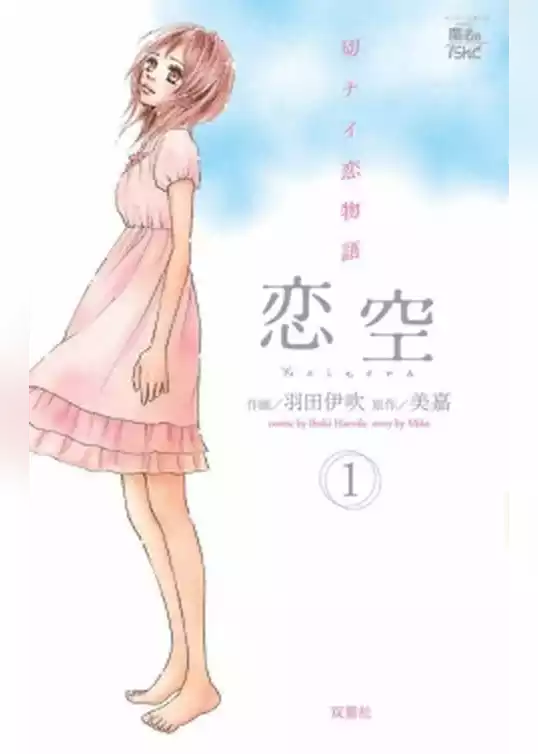 恋空　切ナイ恋物語