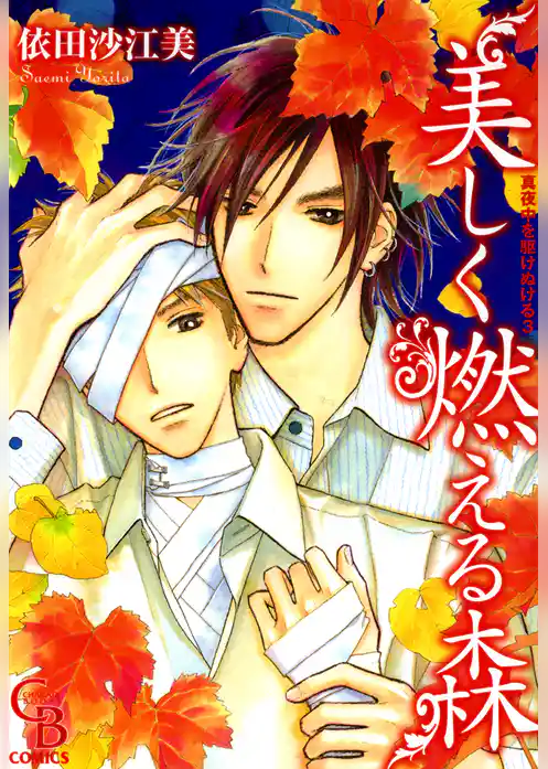 真夜中を駆けぬける