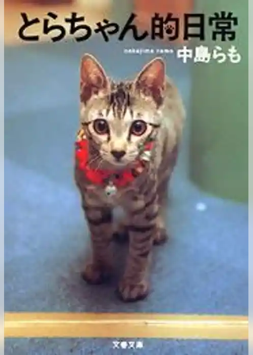 とらちゃん的日常