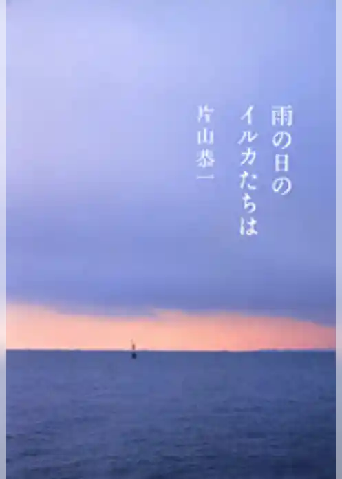 雨の日のイルカたちは