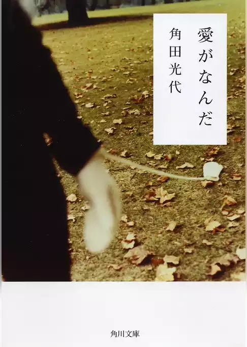 愛がなんだ