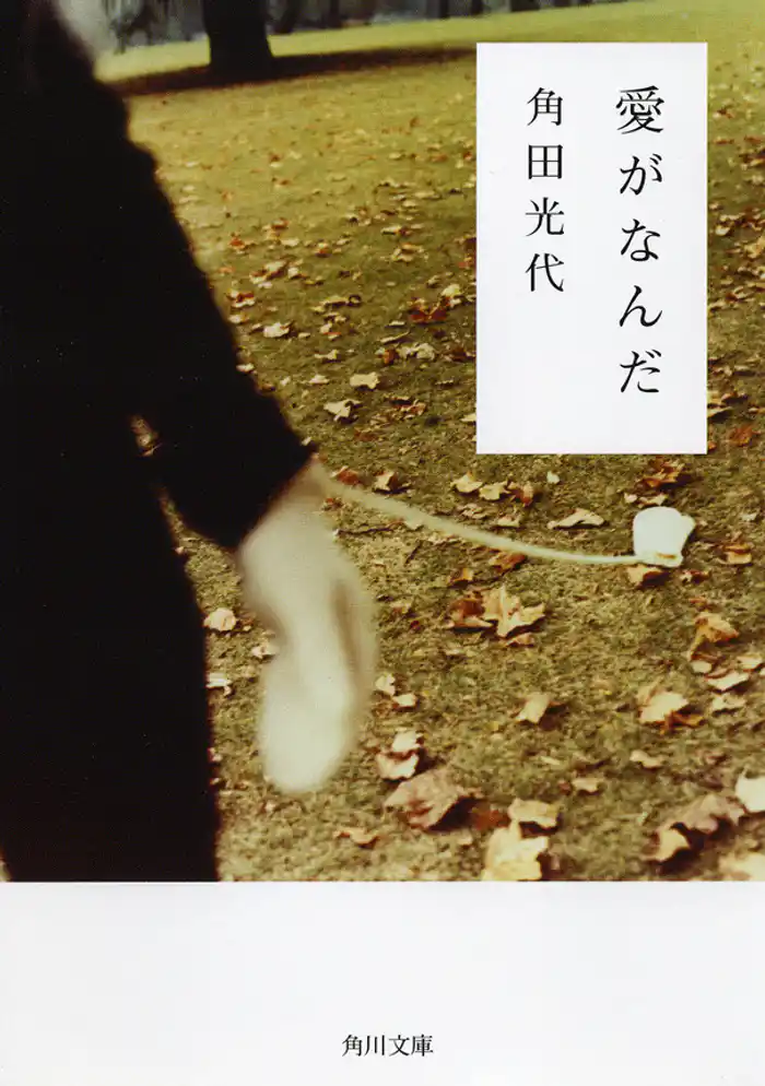 愛がなんだ