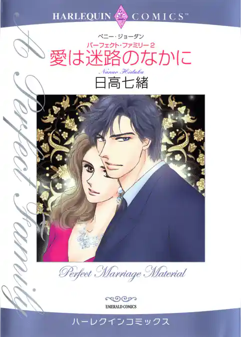 愛は迷路のなかに〈パーフェクト・ファミリー2〉