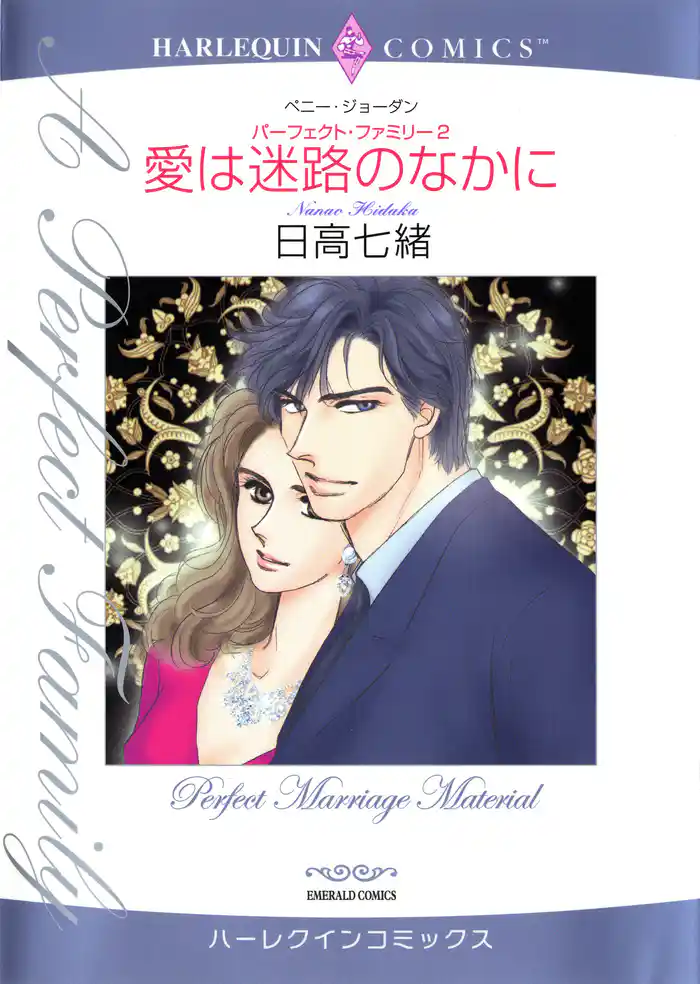 愛は迷路のなかに〈パーフェクト・ファミリー2〉