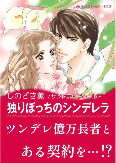 独りぼっちのシンデレラ【あとがき付き】