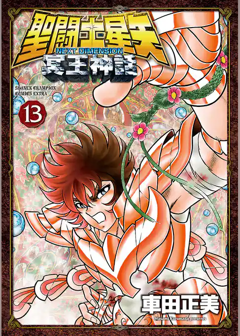 聖闘士星矢 NEXT DIMENSION 冥王神話　13