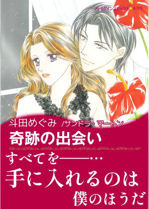 奇跡の出会い〈王子に魅せられてI〉