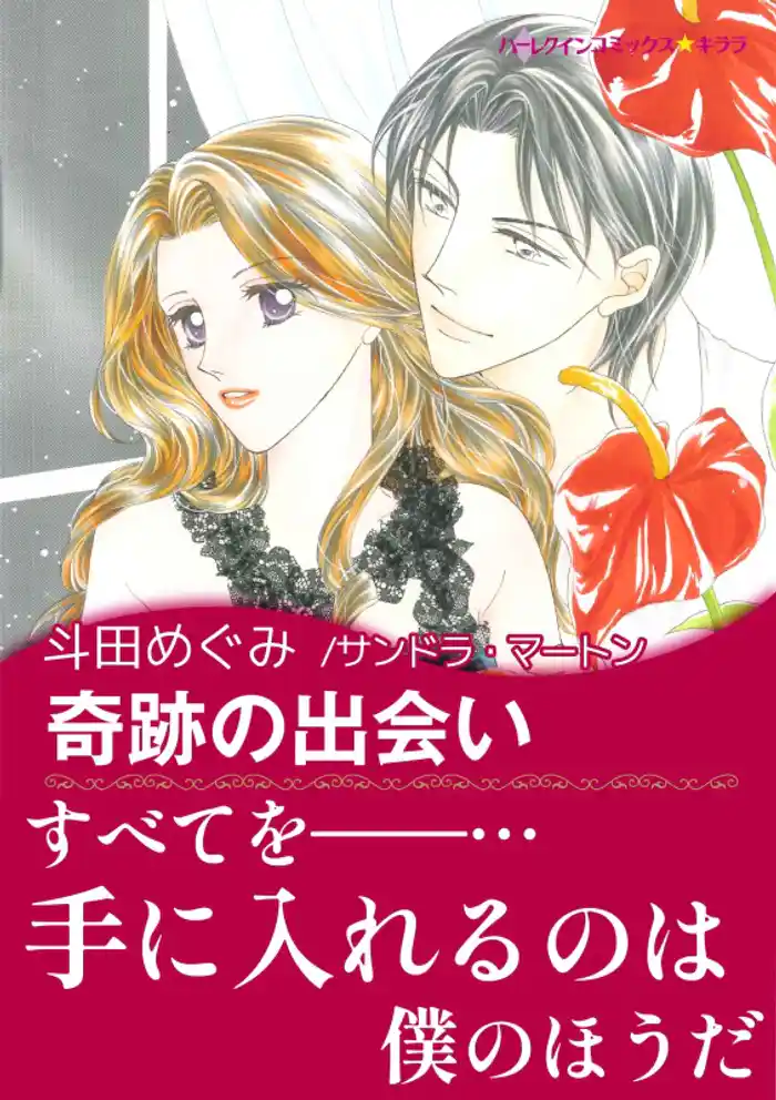 奇跡の出会い〈王子に魅せられてI〉