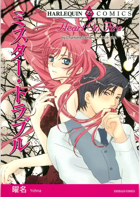 ミスター・トラブル