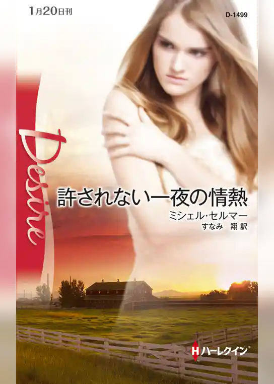 許されない一夜の情熱