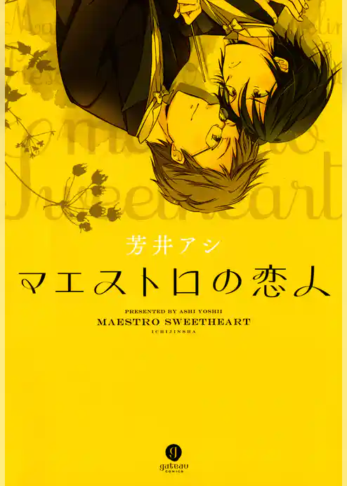 マエストロの恋人