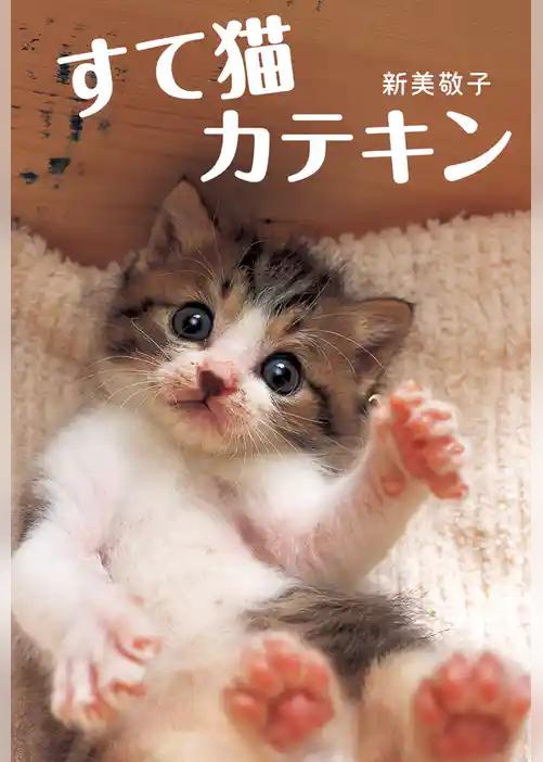 すて猫カテキン
