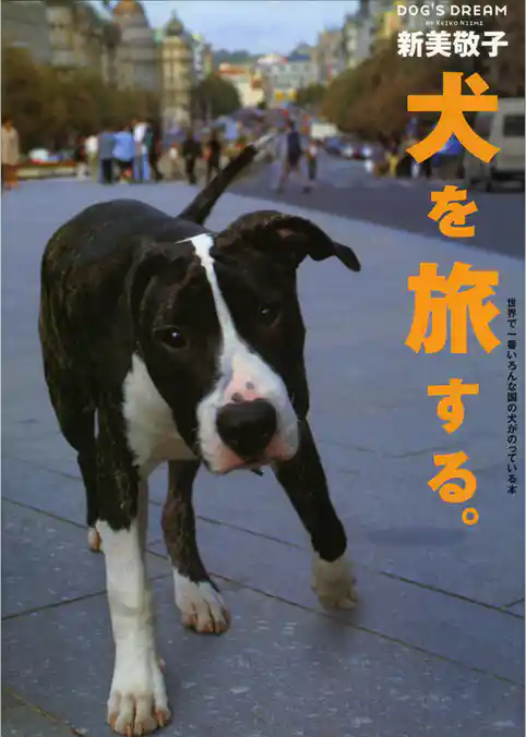 犬を旅する。
