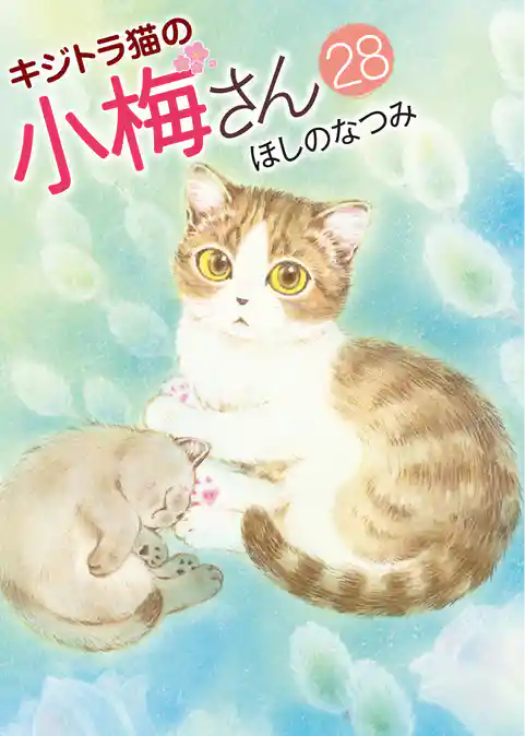 キジトラ猫の小梅さん