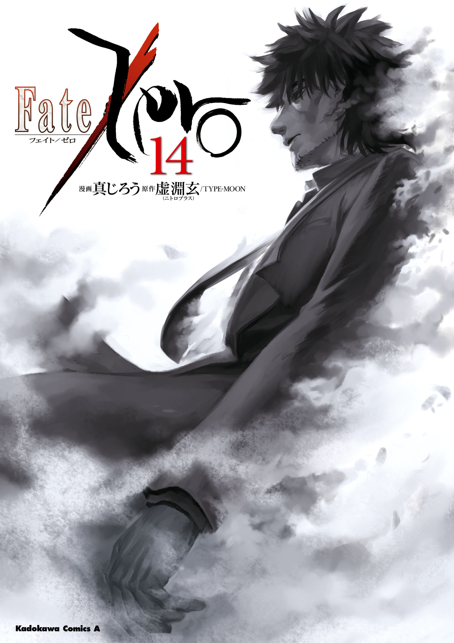 Fate/Zero(14)(マンガ) - 電子書籍 | U-NEXT 初回600円分無料