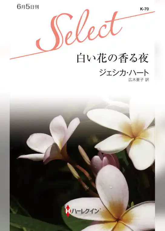 白い花の香る夜