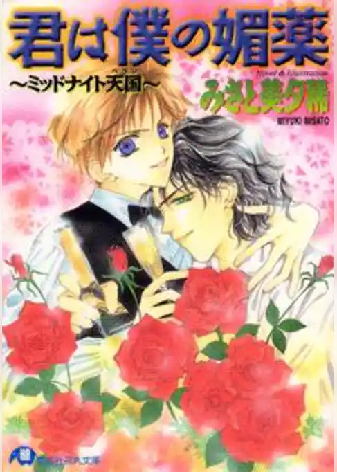 君は僕の媚薬～ミッドナイト天国～【イラスト入り】