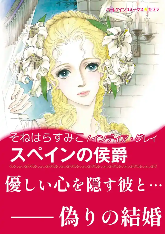 スペインの侯爵【あとがき付き】