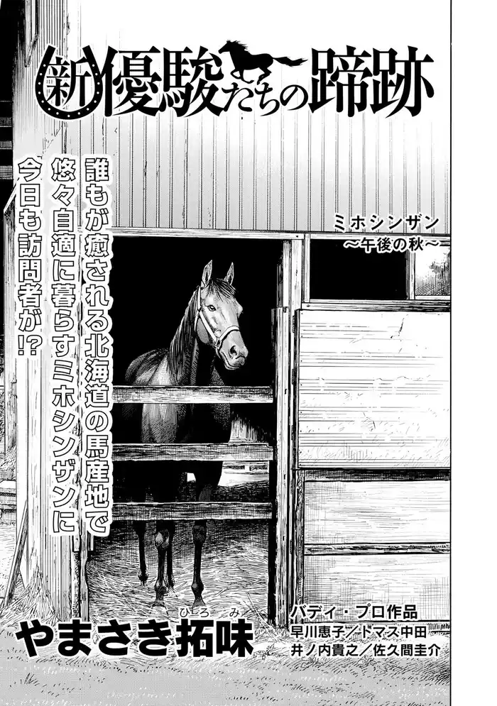 新・優駿たちの蹄跡 ミホシンザン~午後の秋~