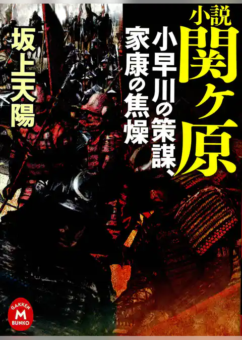 小説 関ヶ原