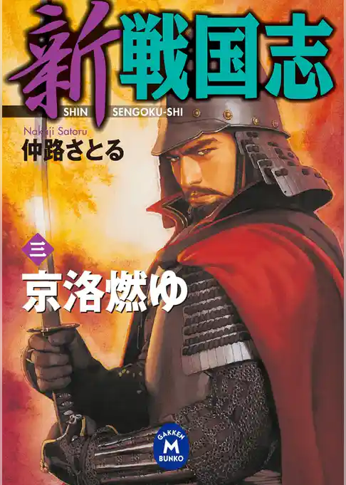 新 戦国志