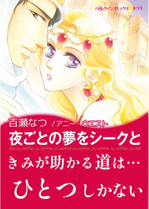 夜ごとの夢をシークと【あとがき付き】