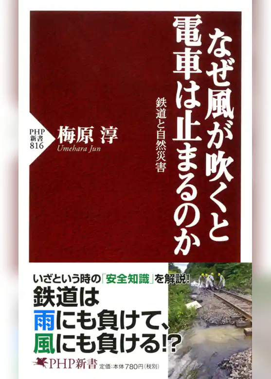 なぜ風が吹くと電車は止まるのか　鉄道と自然災害