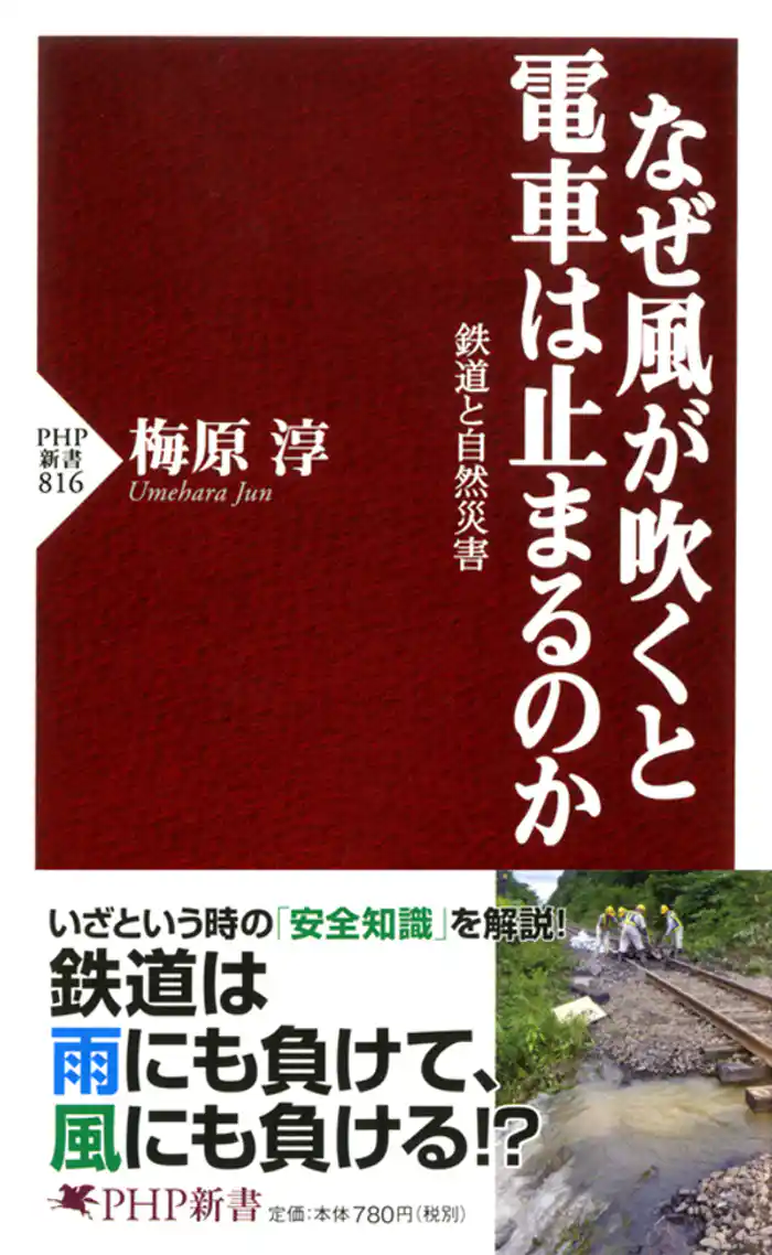 なぜ風が吹くと電車は止まるのか　鉄道と自然災害