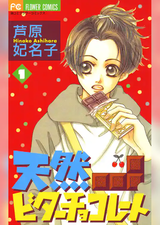 天然ビターチョコレート