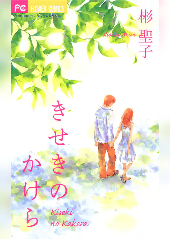 きせきのかけら