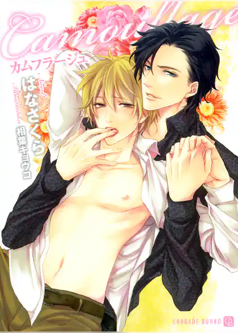 カムフラージュ　特別版