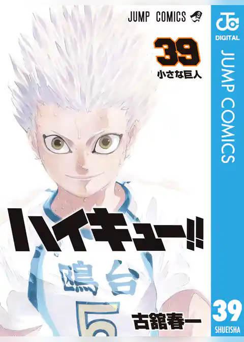 ハイキュー！！ 39