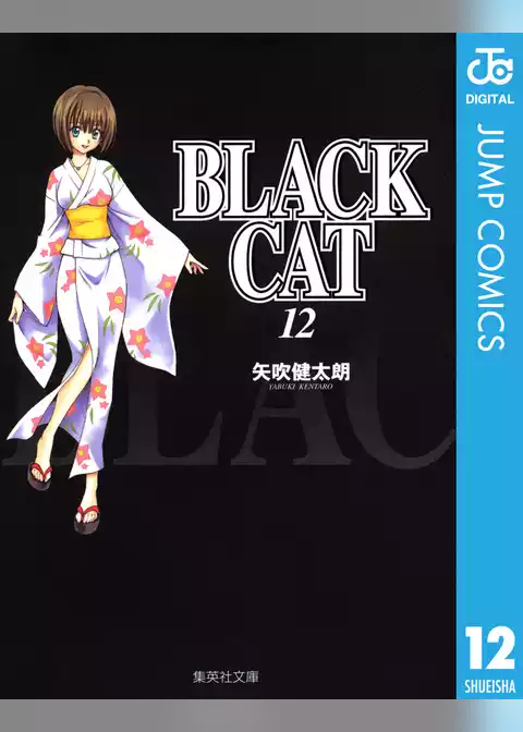 BLACK CAT