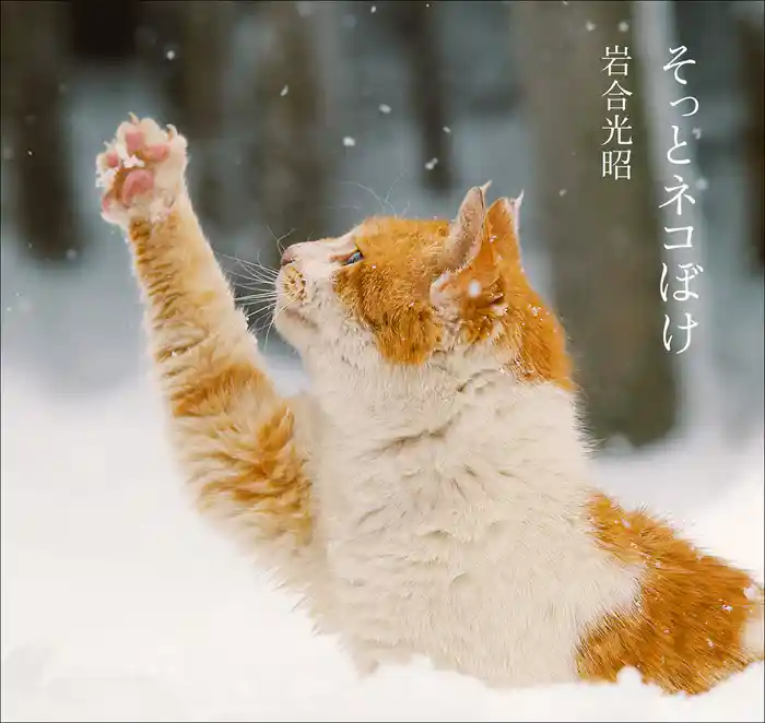 そっとネコぼけ 岩合光昭写真集