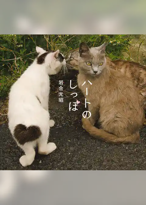 ハートのしっぽ　岩合光昭写真集