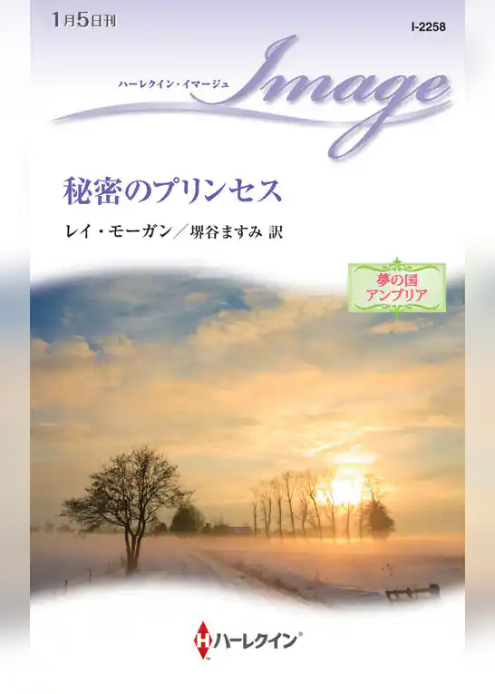 秘密のプリンセス