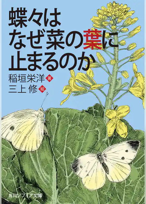 蝶々はなぜ菜の葉に止まるのか