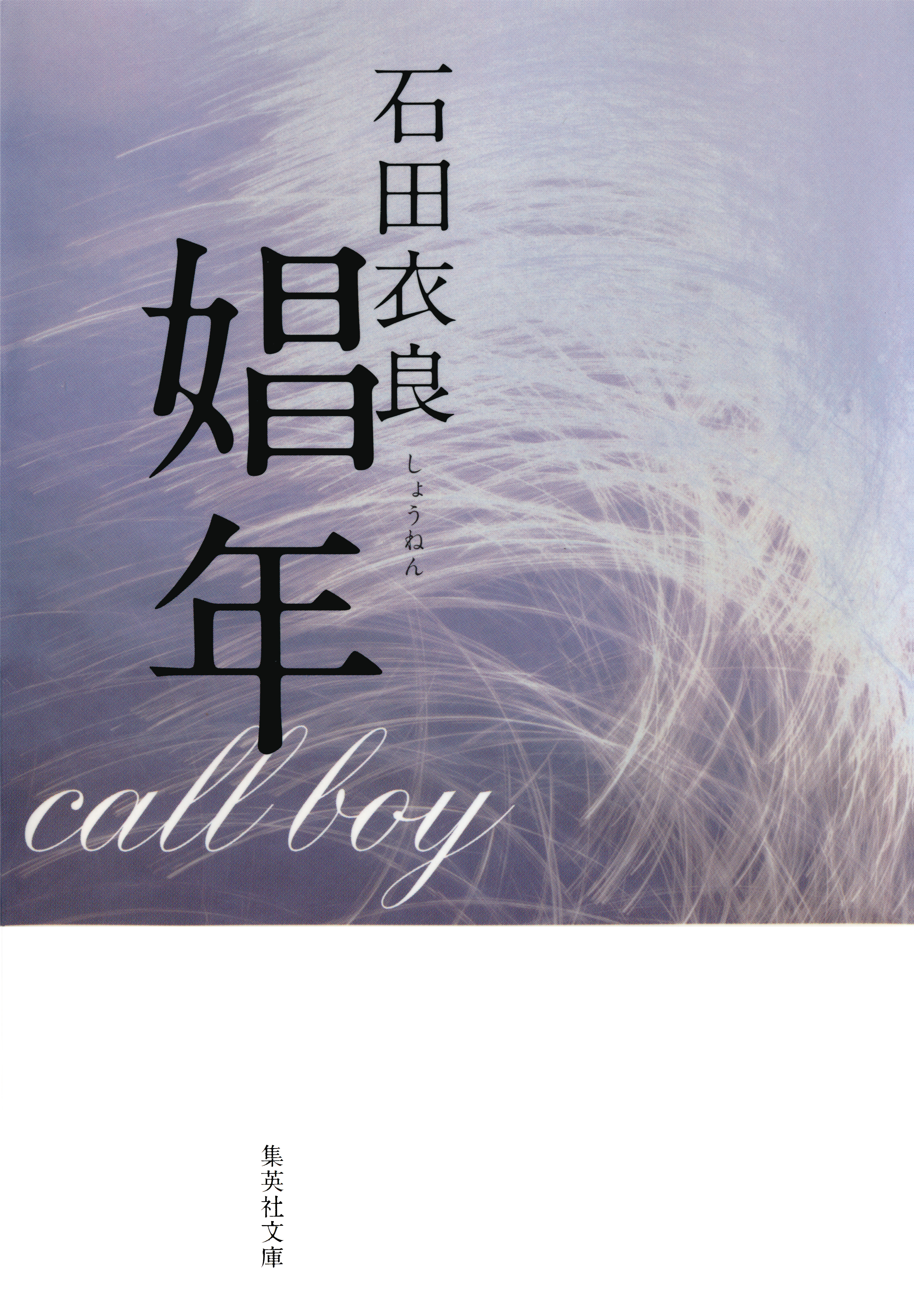 U-NEXT 原作 娼年