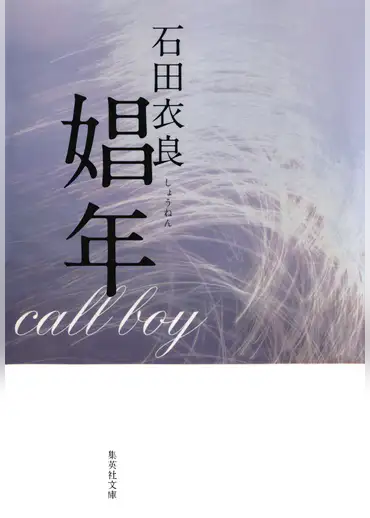 U-NEXT 原作 娼年