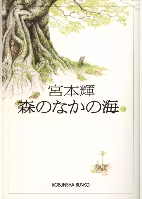 森のなかの海