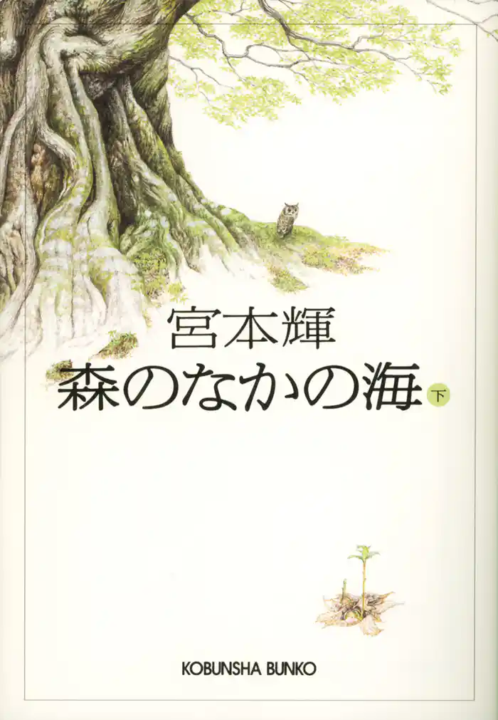 森のなかの海(下)