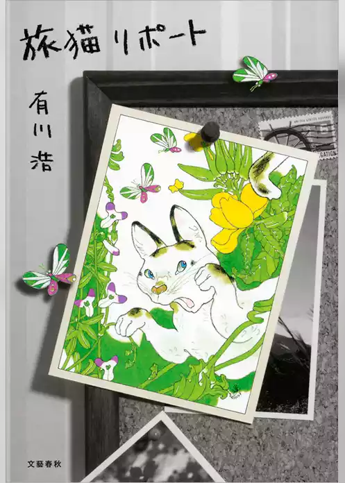 旅猫リポート