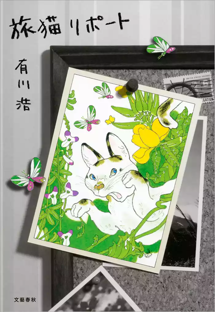 旅猫リポート