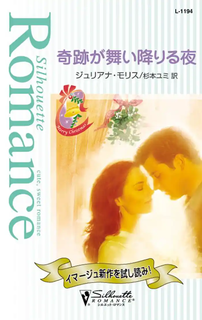 奇跡が舞い降りる夜