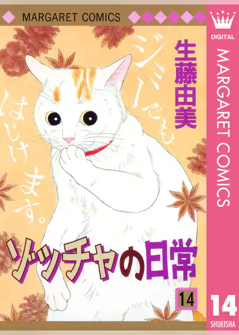 ゾッチャの日常