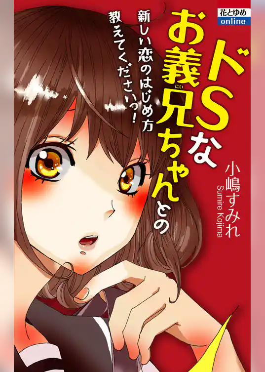 ドＳなお義兄ちゃんとの新しい恋のはじめ方教えてくださいっ！