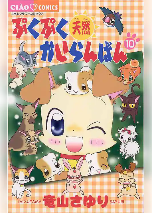 ぷくぷく天然かいらんばん